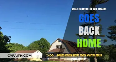 Catholic Roots: The Timeless Journey of Returning Home