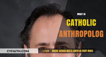 Understanding Catholic Anthropology: Human Nature, Purpose, and Divine Connection