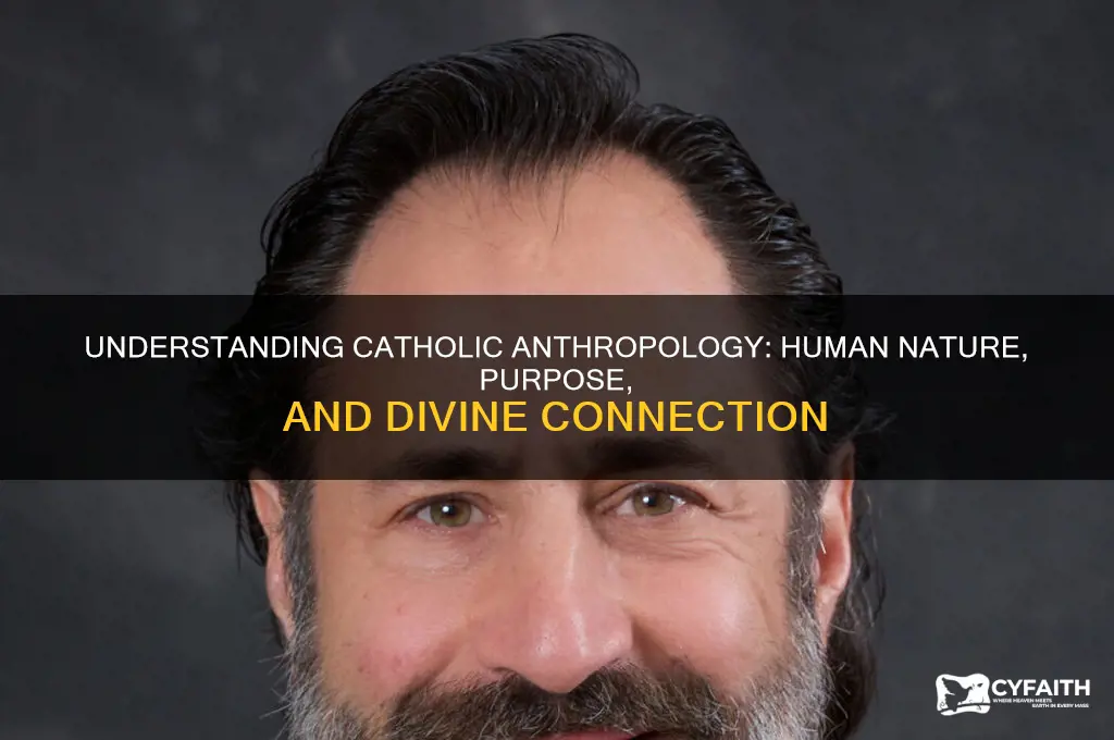 what is catholic anthropology