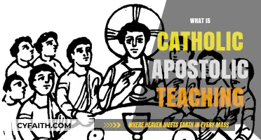 Understanding Catholic Apostolic Teaching: Foundations, Faith, and Tradition Explained