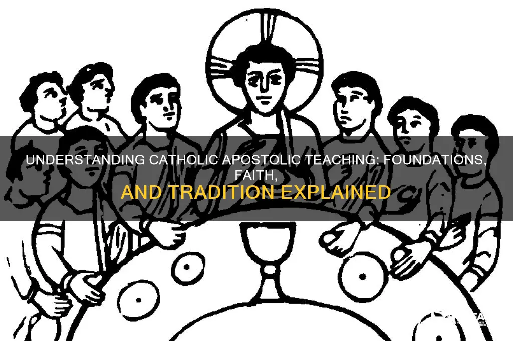what is catholic apostolic teaching