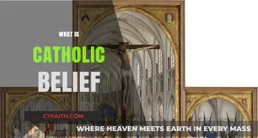 Understanding Catholic Beliefs: Core Teachings and Practices Explained