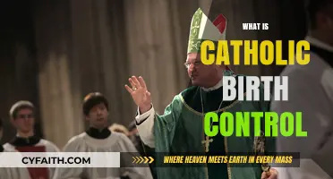 Understanding Catholic Birth Control: Teachings, Methods, and Moral Principles