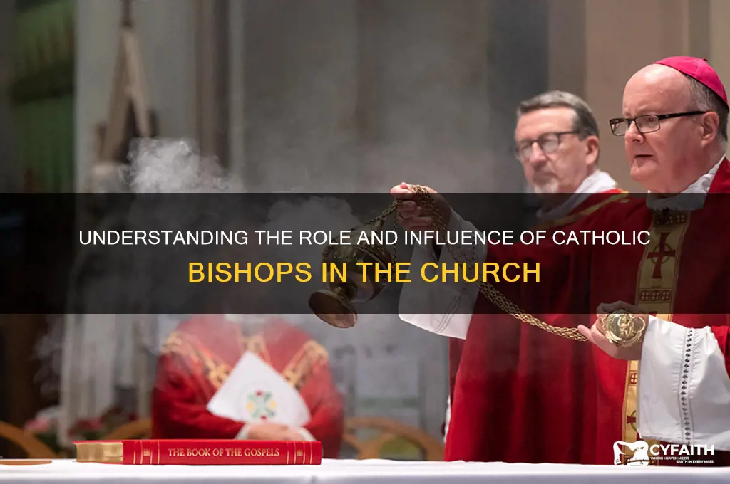 what is catholic bishops
