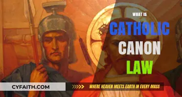 Understanding Catholic Canon Law: Principles, Purpose, and Practice Explained