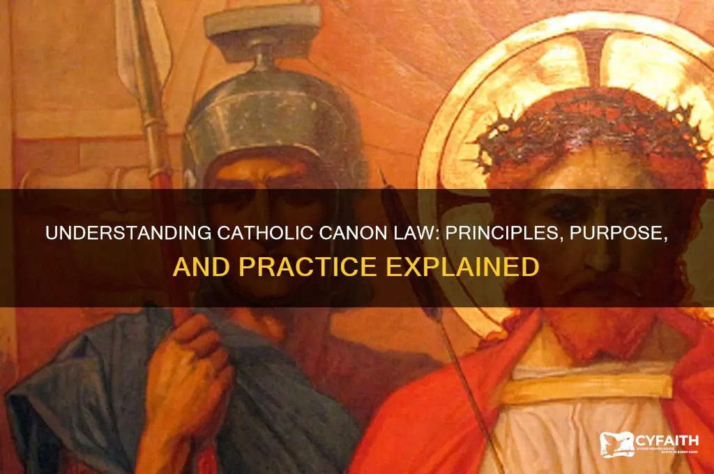 what is catholic canon law