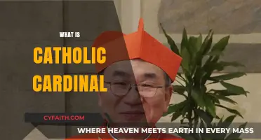 Understanding the Role and Significance of a Catholic Cardinal