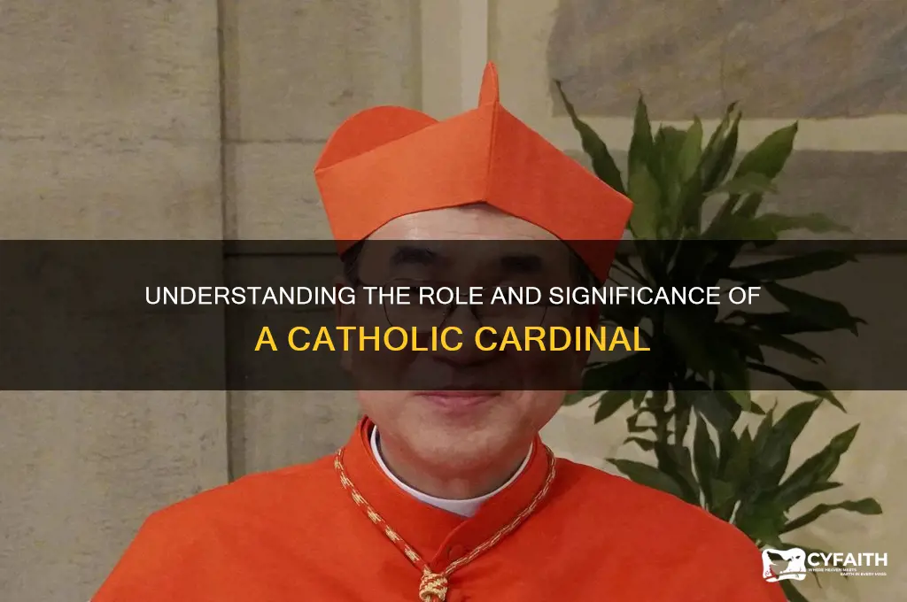 what is catholic cardinal