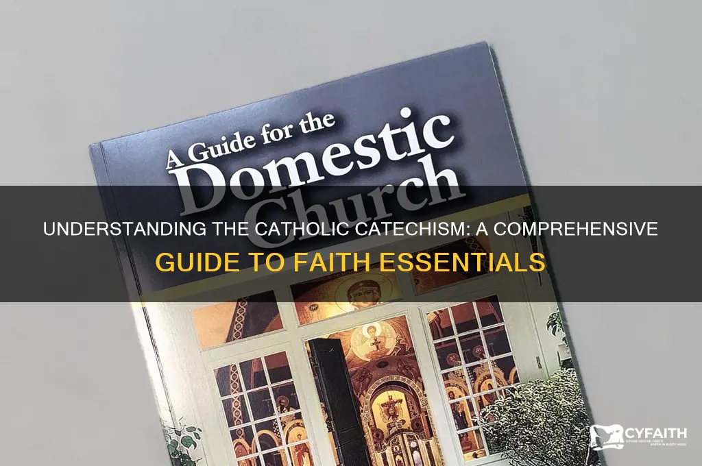 what is catholic catechism