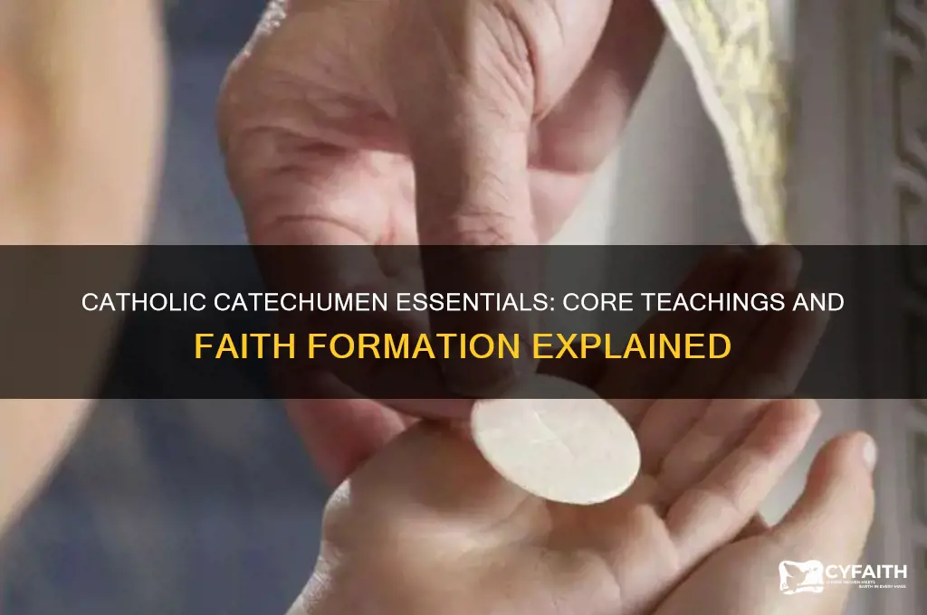 what is catholic catechumen required to learn