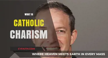 Understanding Catholic Charism: Gifts of the Holy Spirit Explained