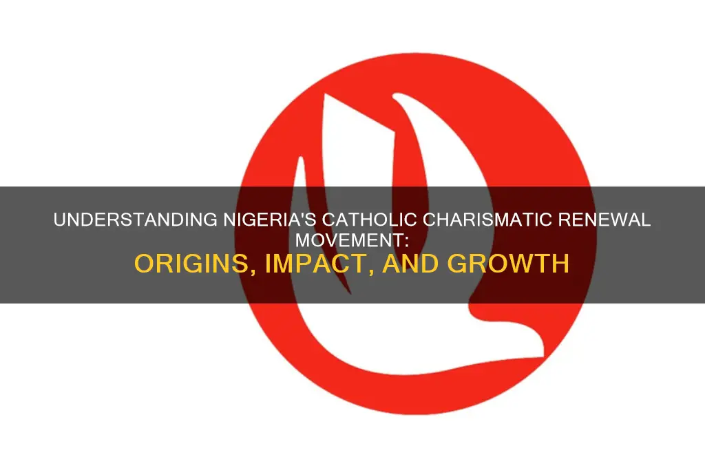 what is catholic charismatic renewal of nigeria
