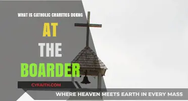 Catholic Charities' Border Efforts: Compassion, Aid, and Advocacy in Action