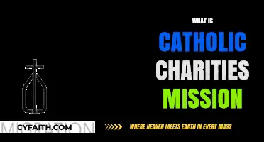 Understanding Catholic Charities' Mission: Serving Communities with Compassion and Faith