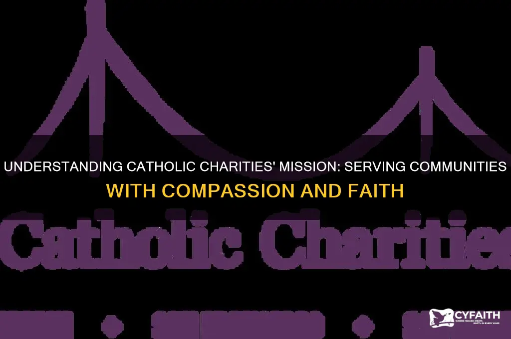 what is catholic charities mission