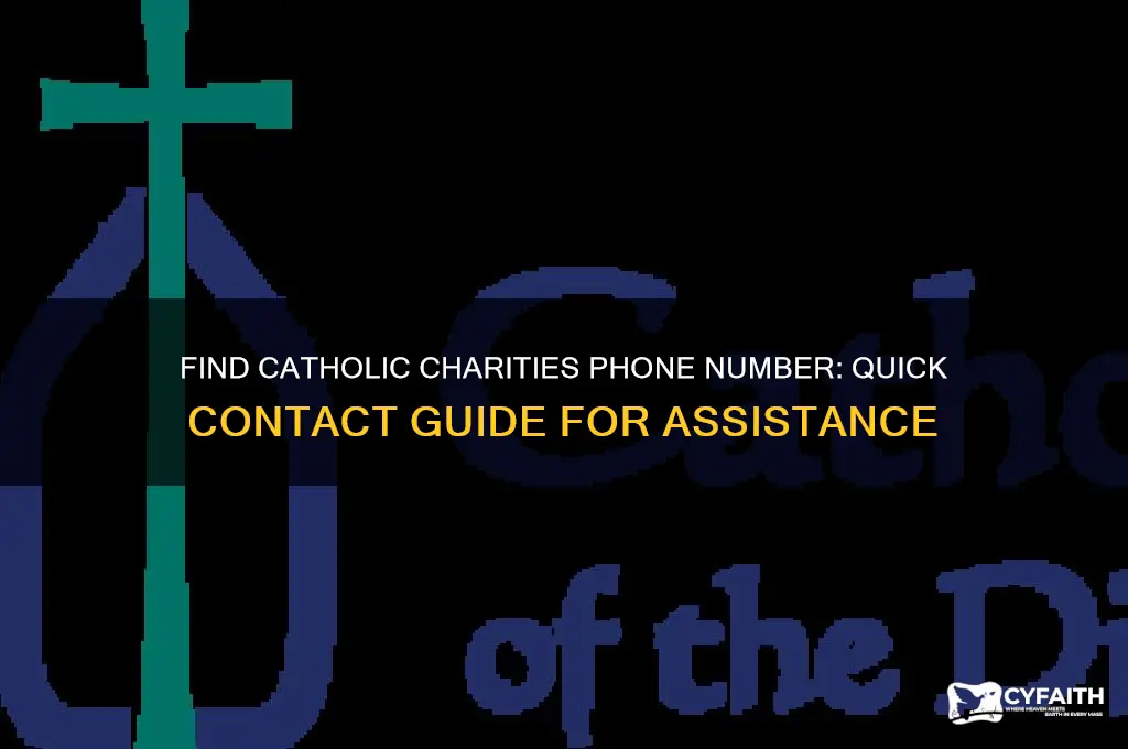 what is catholic charities phone number