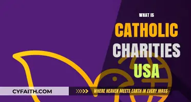 Understanding Catholic Charities USA: Mission, Impact, and Community Support