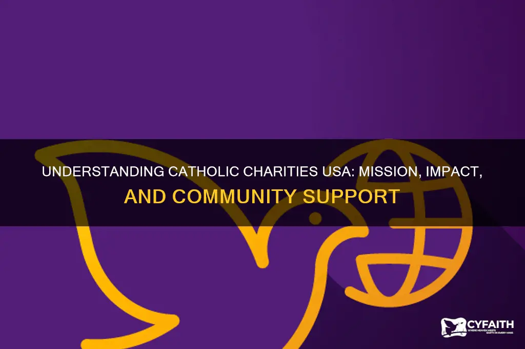 what is catholic charities usa