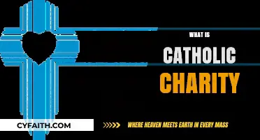 Understanding Catholic Charity: Faith, Compassion, and Community Service Explained