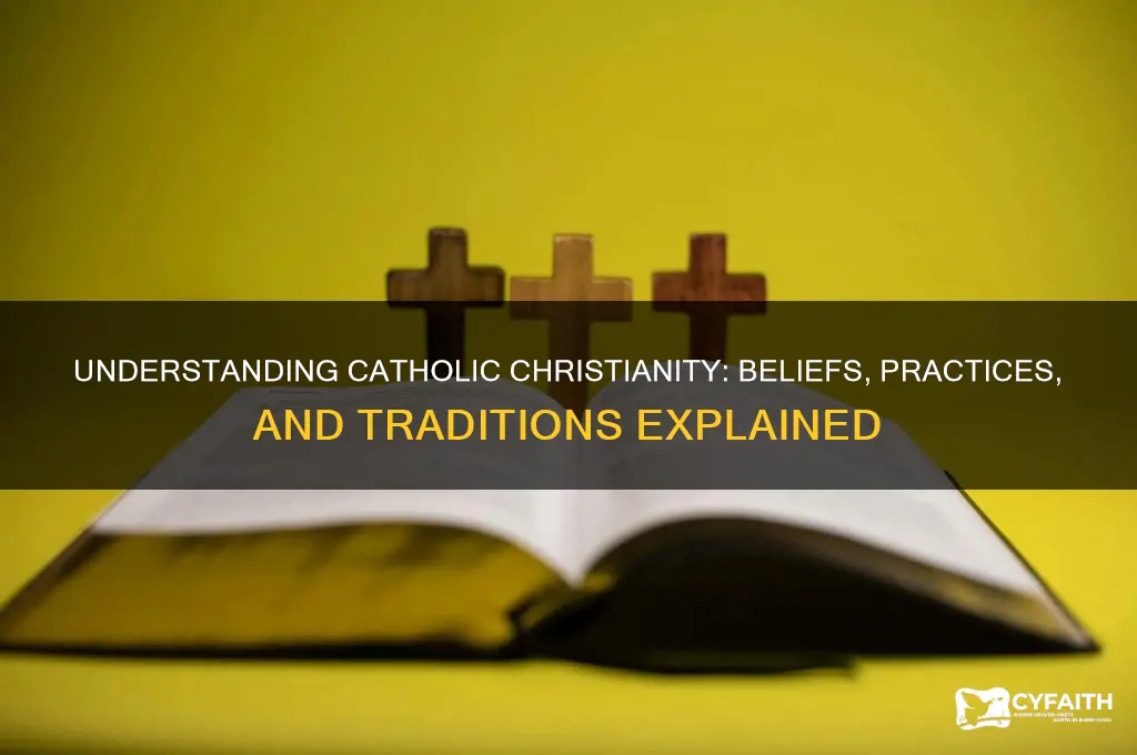 what is catholic christianity