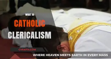 Understanding Catholic Clericalism: Power, Authority, and Its Impact on the Church