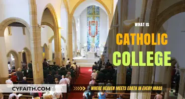 Exploring Catholic College: Faith, Education, and Community Explained