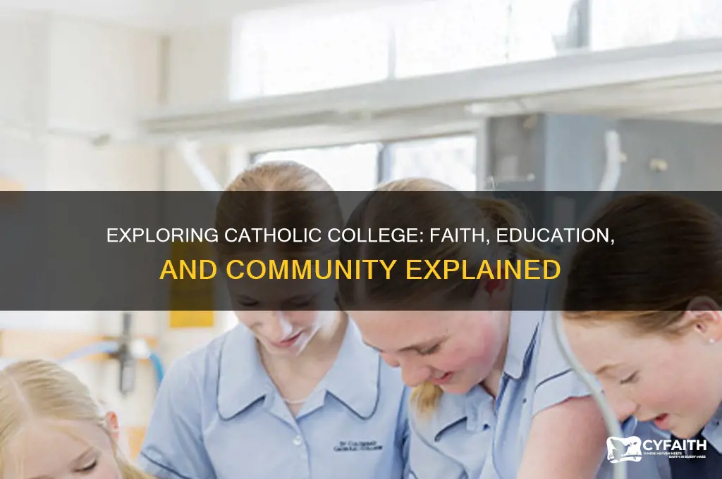what is catholic college