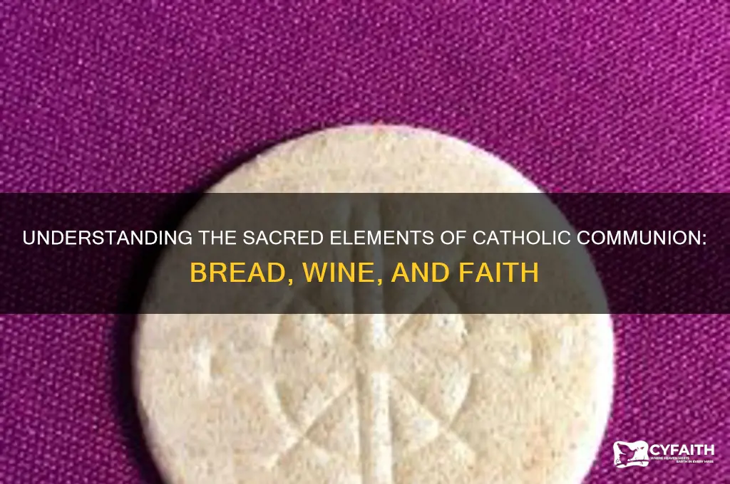 what is catholic communion made of