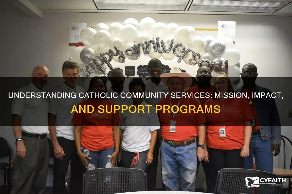 what is catholic community services