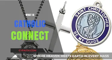 Understanding Catholic Connect: A Comprehensive Guide to Its Purpose and Impact
