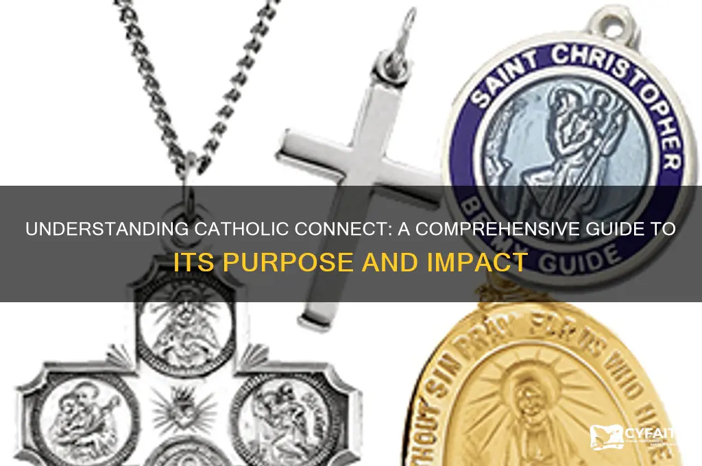 what is catholic connect