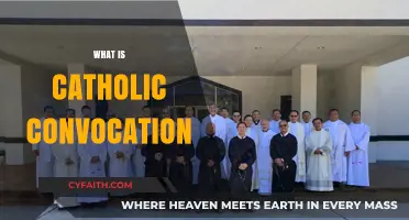 Understanding Catholic Convocation: Purpose, History, and Modern Significance