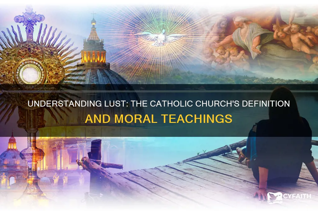 what is catholic definition of lust