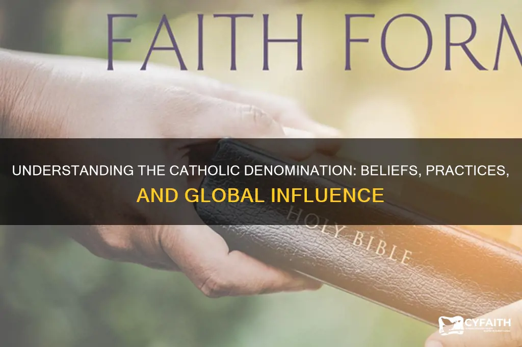 what is catholic denomination