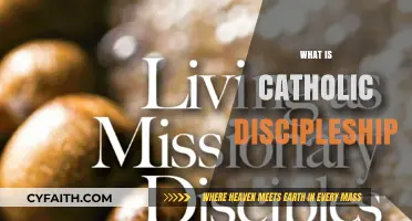Understanding Catholic Discipleship: A Journey of Faith and Service