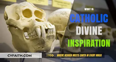 Understanding Catholic Divine Inspiration: Sacred Scripture and God's Guidance