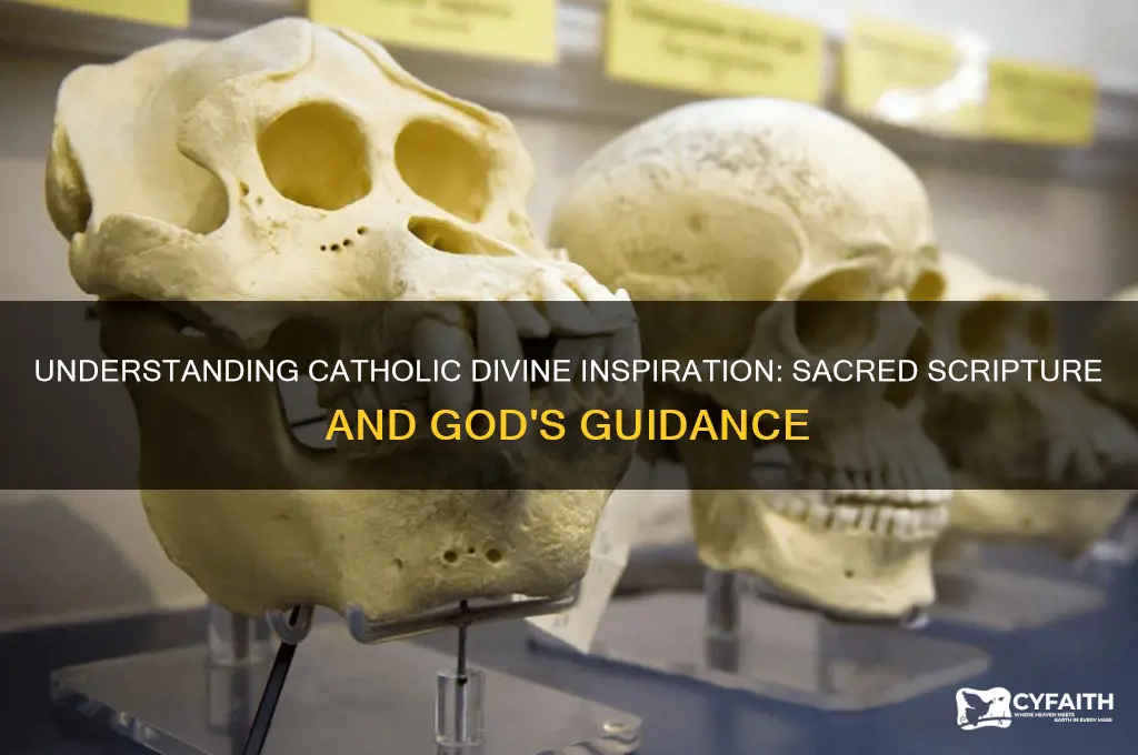 what is catholic divine inspiration