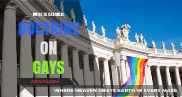 Understanding Catholic Doctrine: Perspectives on Homosexuality and LGBTQ+ Inclusion