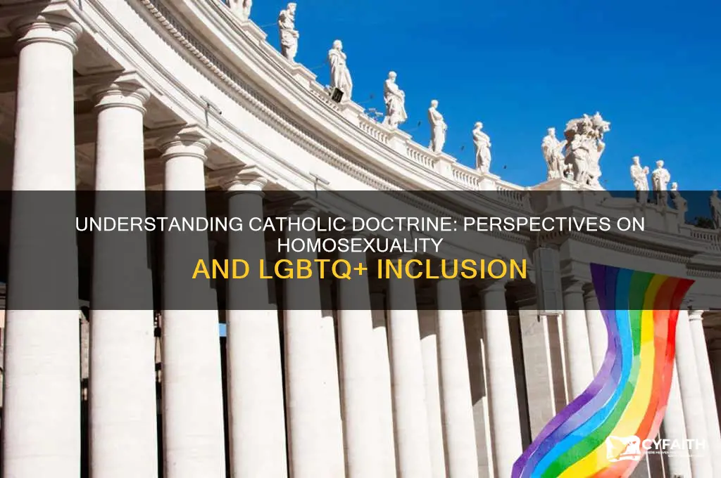 what is catholic doctrine on gays