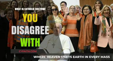 Challenging Catholic Teachings: Exploring Doctrines That Spark Disagreement and Debate