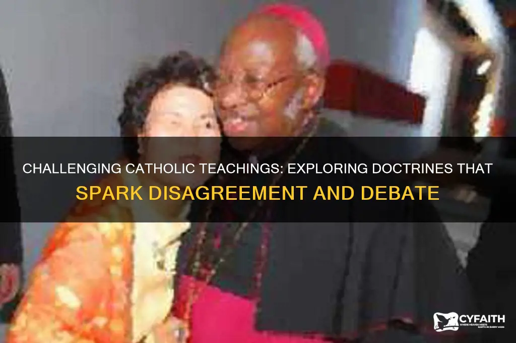 what is catholic doctrine you disagree with