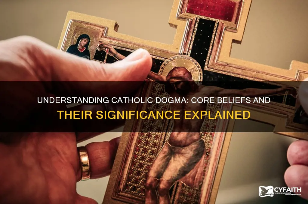 what is catholic dogma