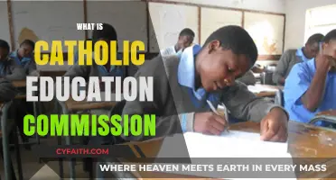 Understanding the Role and Impact of the Catholic Education Commission