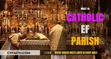 Understanding the Catholic Extraordinary Form Parish: Traditions and Practices