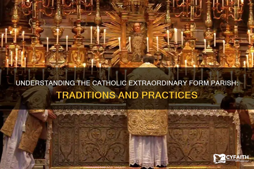what is catholic ef parish