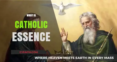 Understanding the Core of Catholic Faith: Essence and Traditions Explained