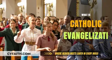 Understanding Catholic Evangelization: Sharing Faith, Spreading Hope, and Building Community