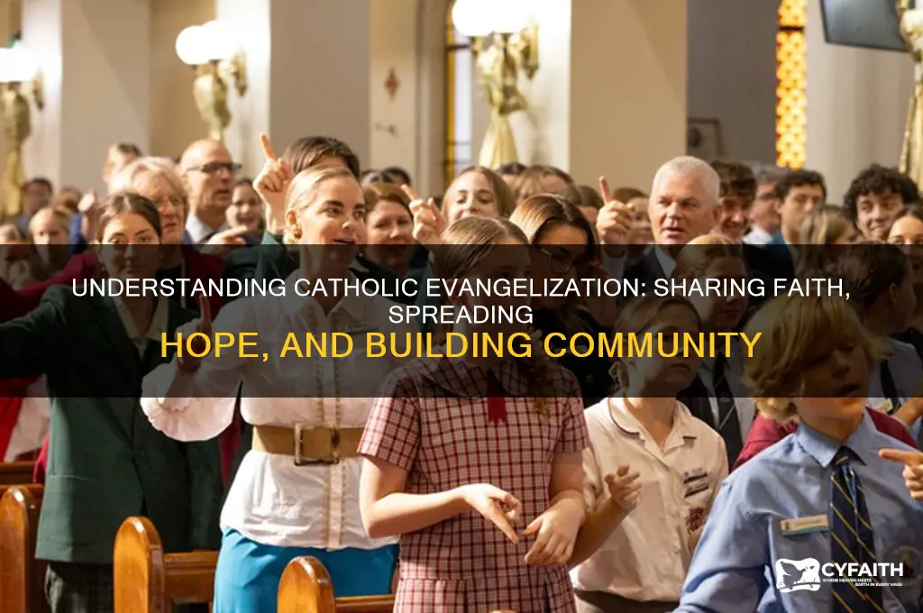 what is catholic evangelization