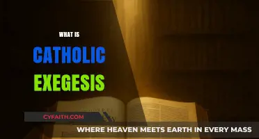 Understanding Catholic Exegesis: Interpreting Scripture Through Tradition and Faith