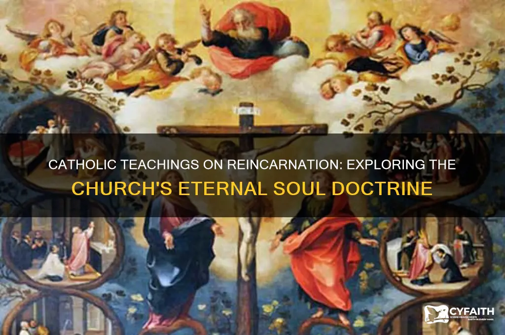 what is catholic explanation forvreincarnation